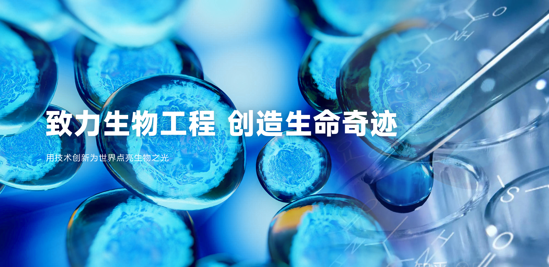 生物工程