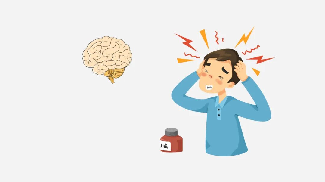 守护生命基石：颅底骨折的精密修复与自体颅骨回植术