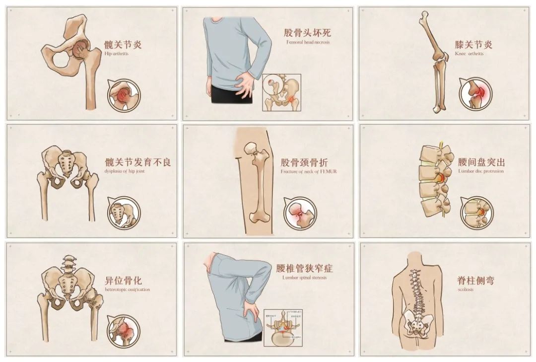 骨科临床1.jpg