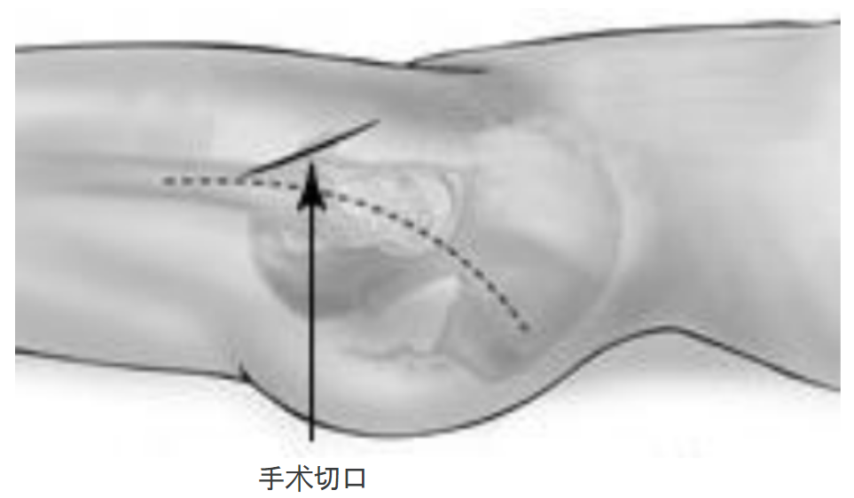 微信图片_20250613150535.png